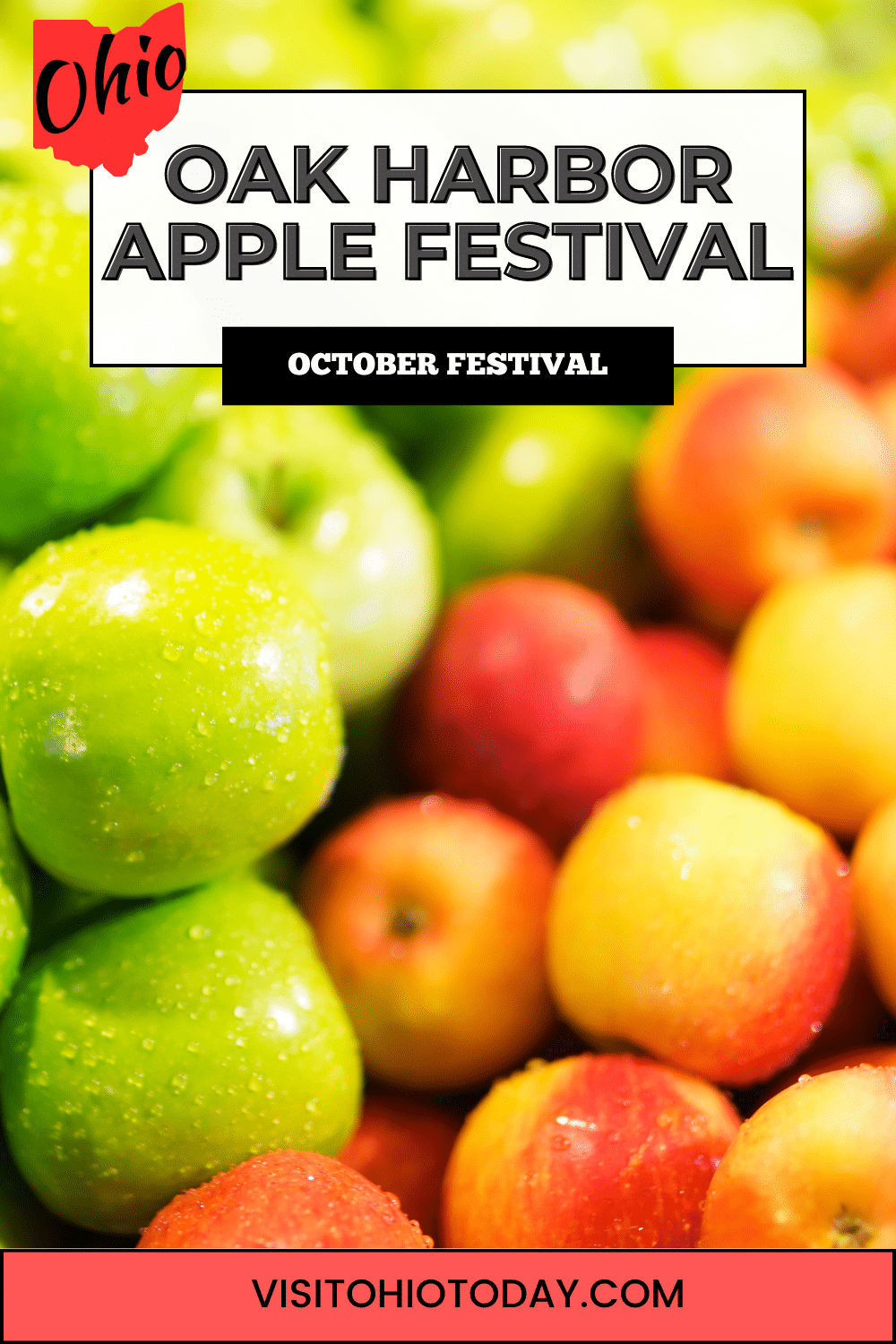 This festival is held in Downtown Oak Harbor on the weekend of October 14 and 15. This fun-filled festival has something for everyone!