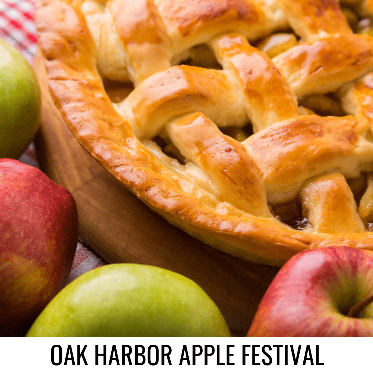 square image with a photo of a lattice topped apple pie with apples around it. A white strip at the bottom has the text Oak Harbor Apple Festival. Image via Canva pro license