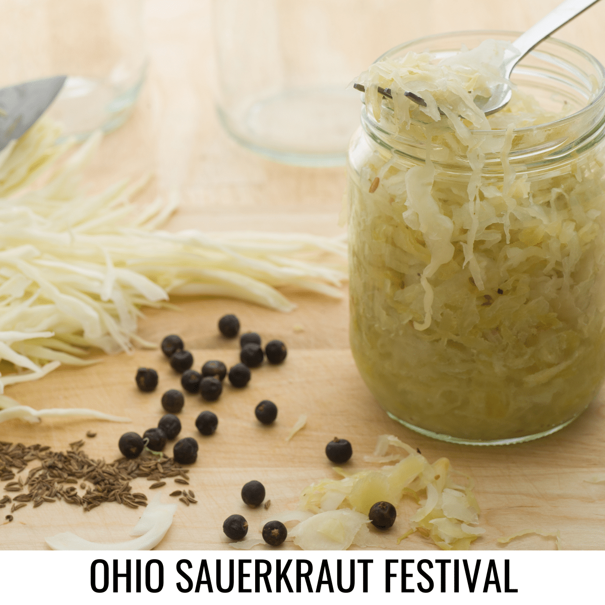 square image with a photo of a jar of sauerkraut with a fork in, some shredded cabbage and peppercorns all on a wooden surface. A white strip at the bottom has the text Ohio Sauerkraut Festival. Image via Canva pro license