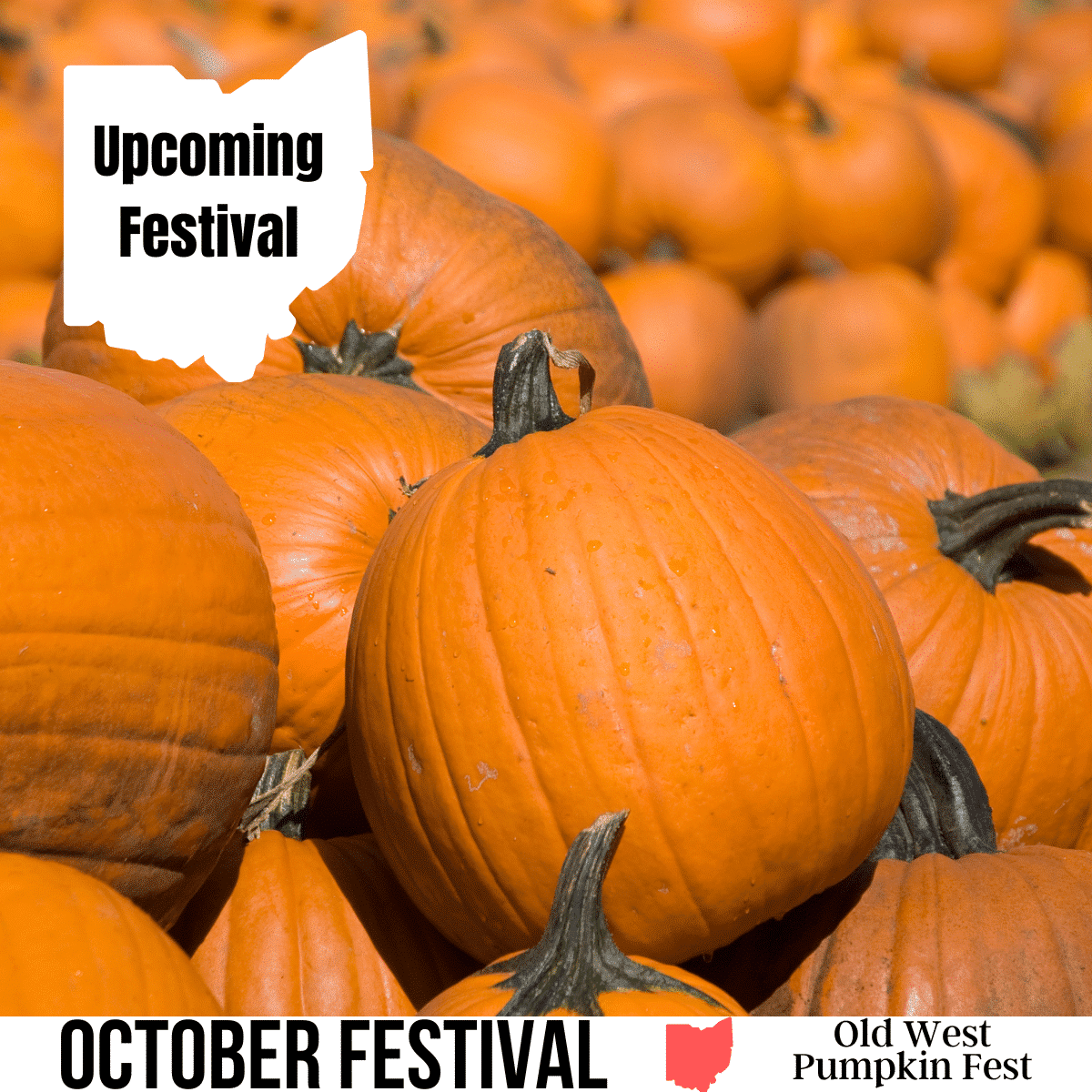 square image with a photo of a close up of piles of orange pumpkins. A white strip at the bottom has the text October Festival Old West Pumpkin Fest. Image via Canva pro license