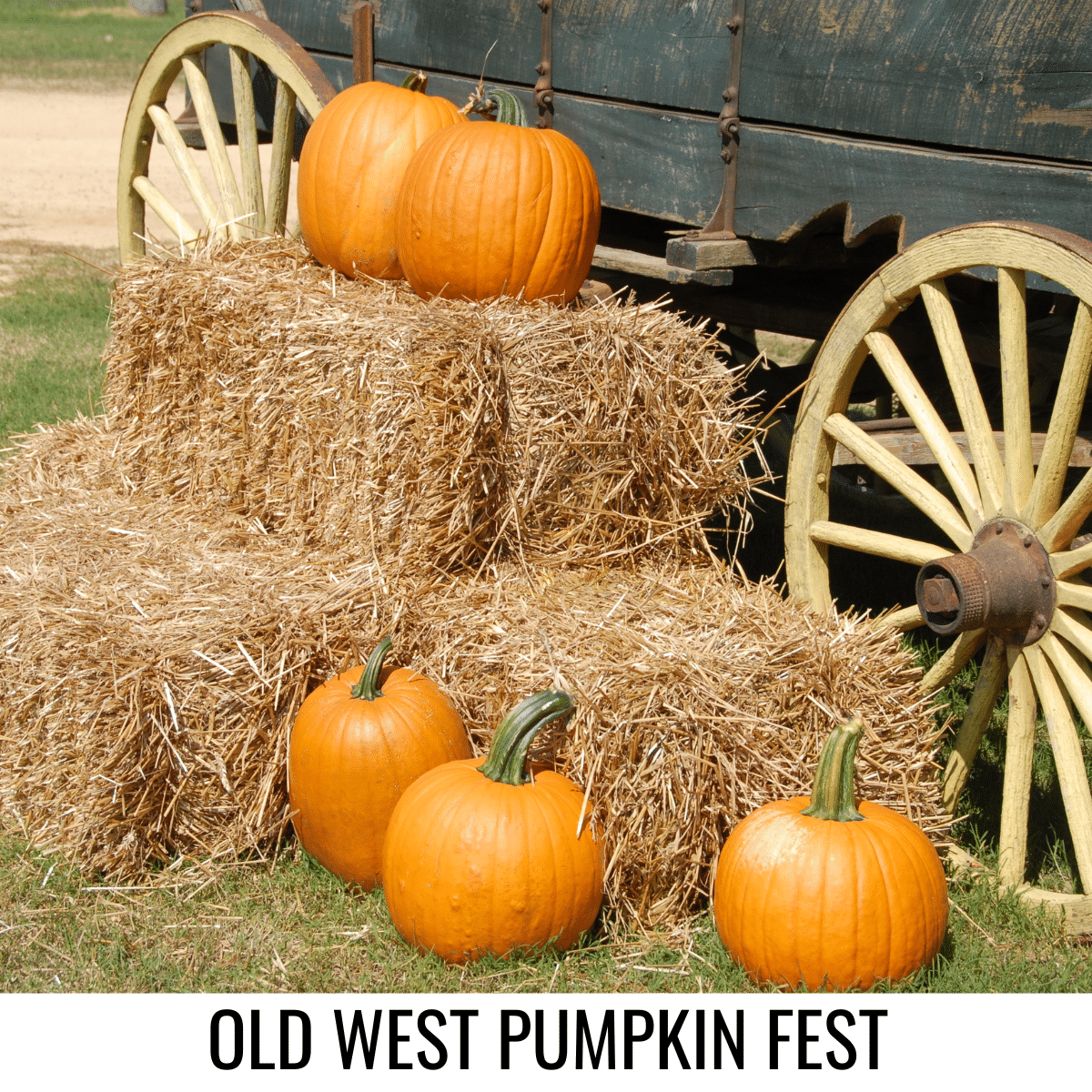 square image with a photo of a wooden cart with hay bales beside it and pumpkins on them and on the ground. A white strip at the bottom has the text Old West Pumpkin Fest. Image via Canva pro license