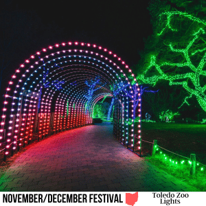 square image with a photo of a multi-colored lit tunnel and a green lit tree A white strip across the bottom has the text November/December Festival Toledo Zoo Lights. Image courtesy of Toledo Zoo