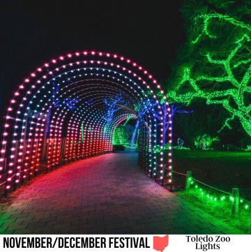 square image with a photo of a multi-colored lit tunnel and a green lit tree A white strip across the bottom has the text November/December Festival Toledo Zoo Lights. Image courtesy of Toledo Zoo