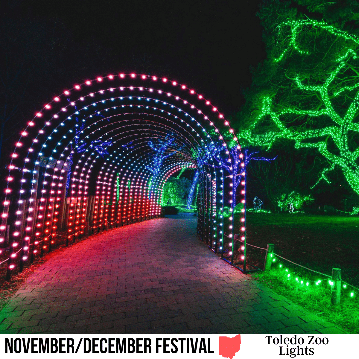 Toledo Zoo Lights Visit Ohio Today