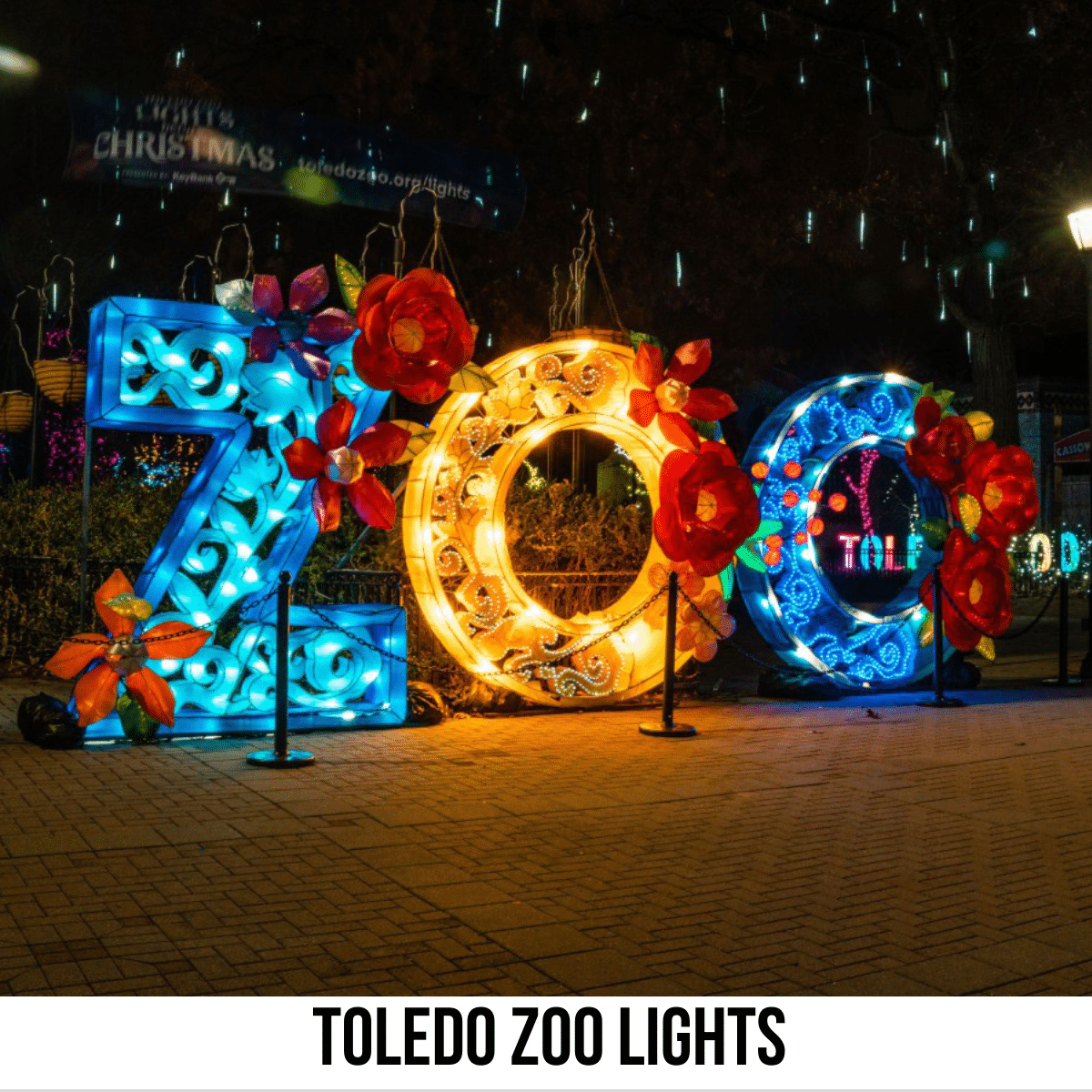 square image with a photo of the word ZOO lit up and decorated with flowers. A white strip across the bottom has the text Toledo Zoo Lights. Image courtesy of Toledo Zoo Lights Before Christmas