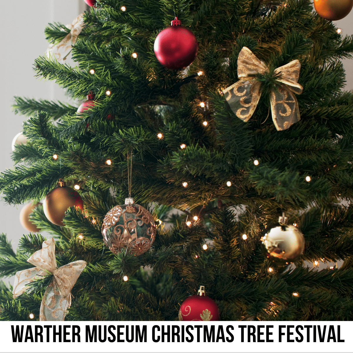square image with a photo of a section of a large Christmas tree with red and gold decorations. A white strip across the bottom has the text Warther Museum Christmas Tree Festival. Image via Canva pro license