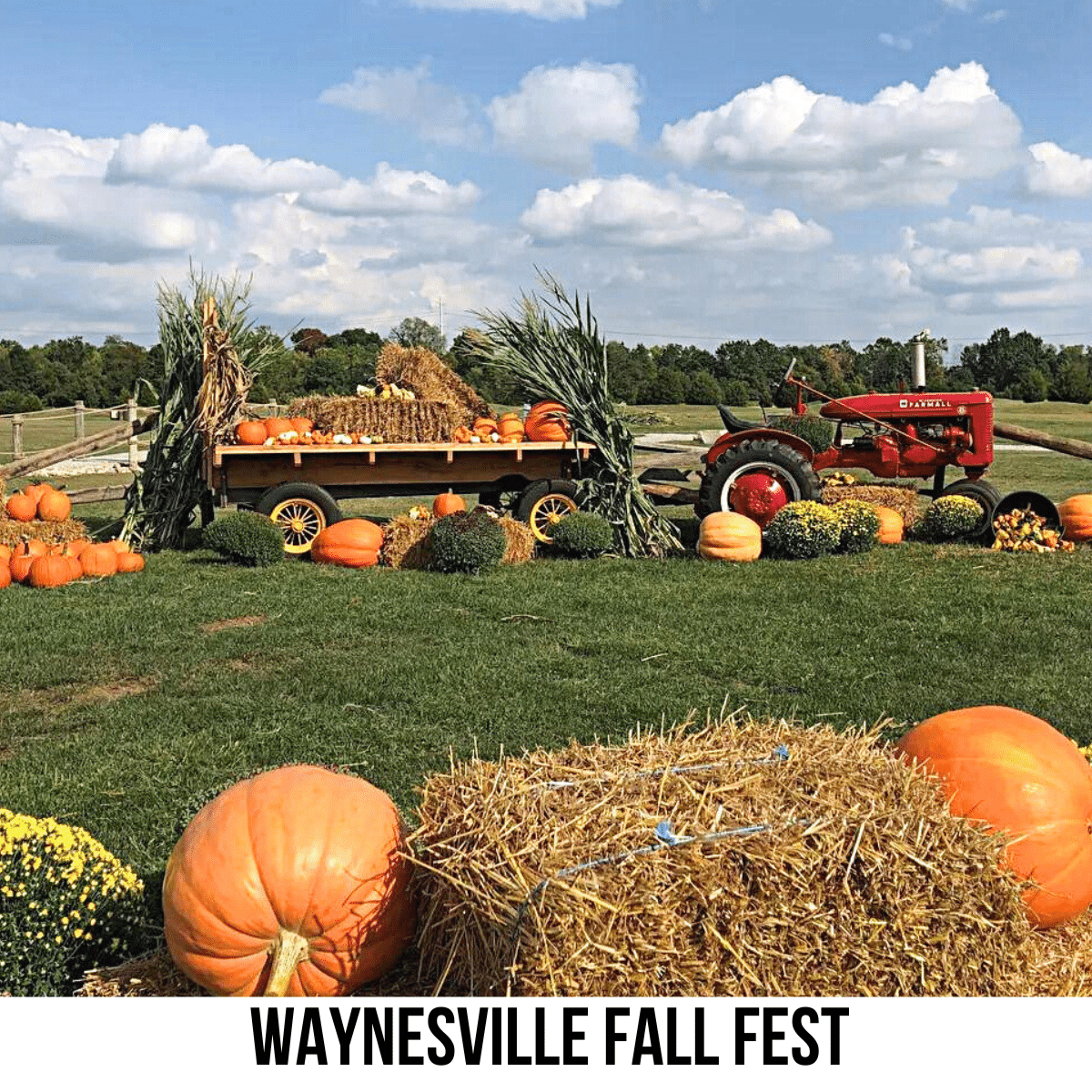 square image with a photo of a tractor and wagon full of pumpkins, with some large orange pumpkins and bales of hay in the foreground. A white strip across the bottom has the text Waynesville Fall Fest. Image courtesy of Waynesville Fall Fest