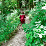 boy with red back pack walking on a dirt path through a very green forest