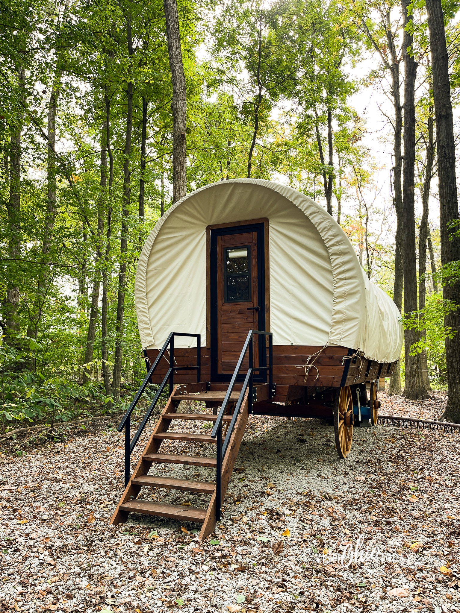 covered wagon in a forest with trees with green leaves and gravel. photo credit: Cindy Gordon of VisitOhioToday.com