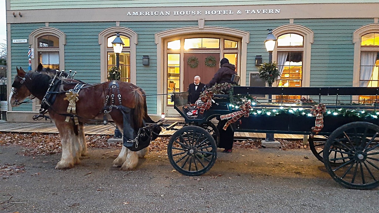 horizontal photo of a long carriage being pulled by two shire horses