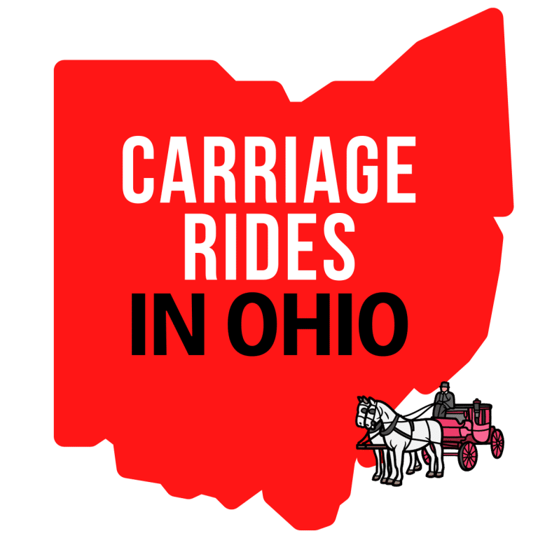Carriage Rides in Ohio