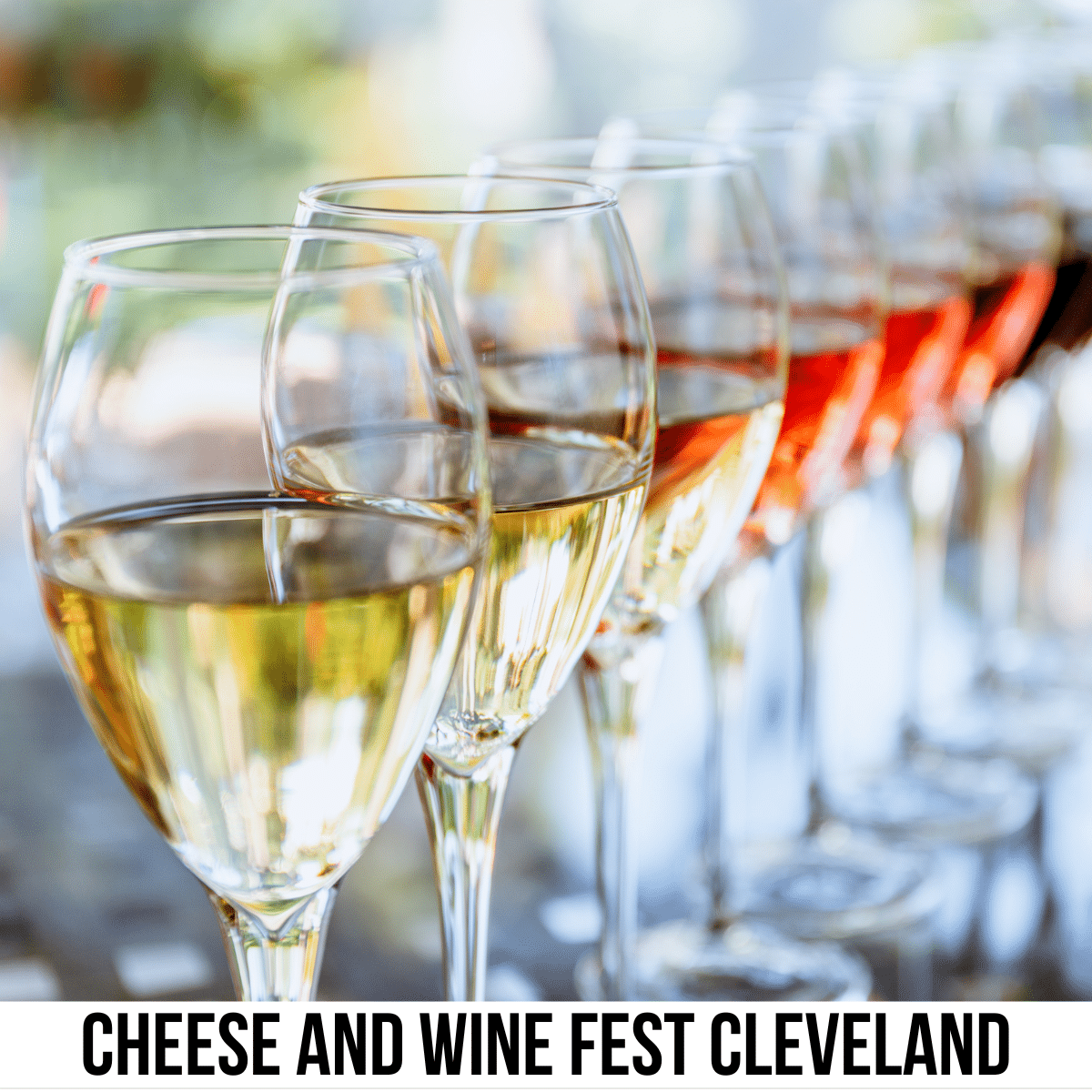 square image with a photo of a row of glasses of wine for tasting. A white strip across the bottom has the text Cheese and Wine Fest Cleveland