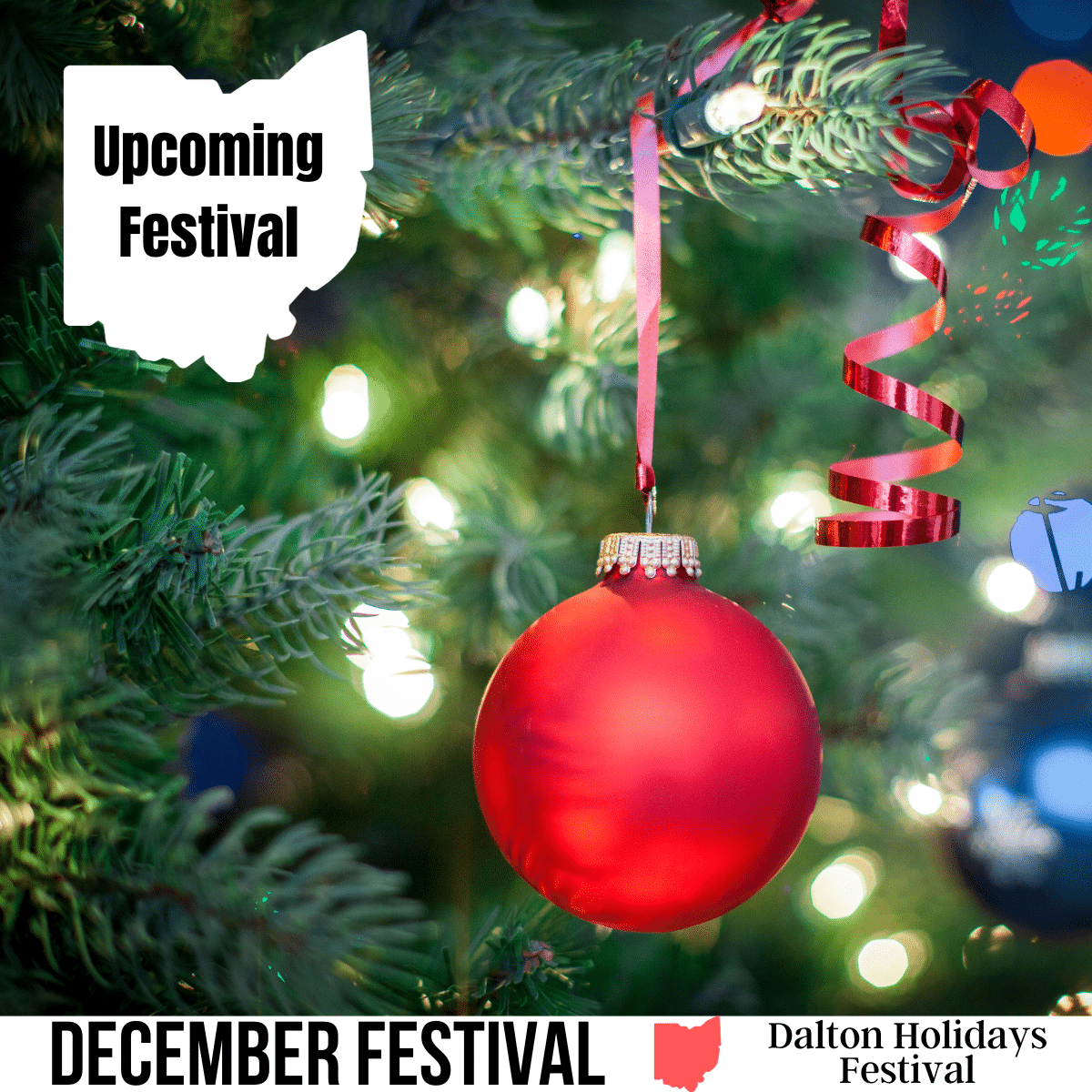 square image with a photo close up of a red bauble hanging from a Christmas tree. A white strip across the bottom has the text December Festival Dalton Holidays Festival