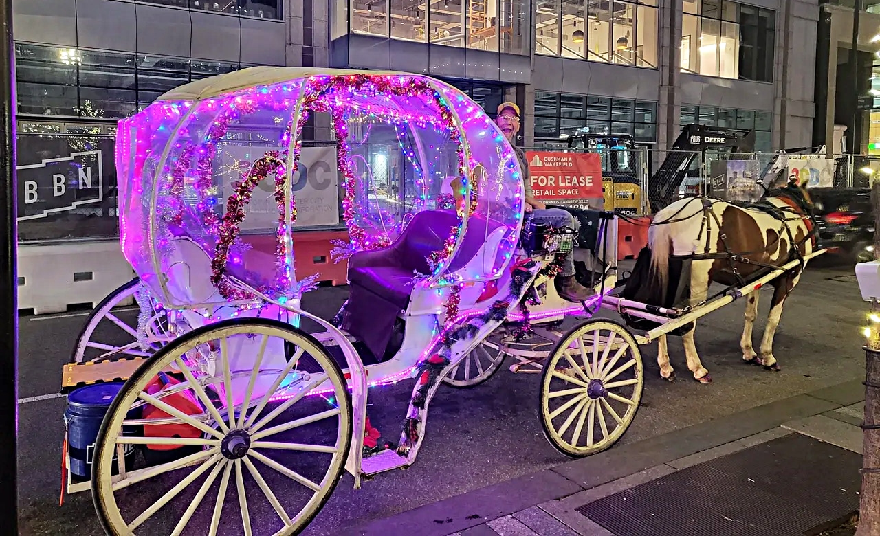 horizontal photo of a purple-draped fantasy carriage being pulled by a brown and white horse