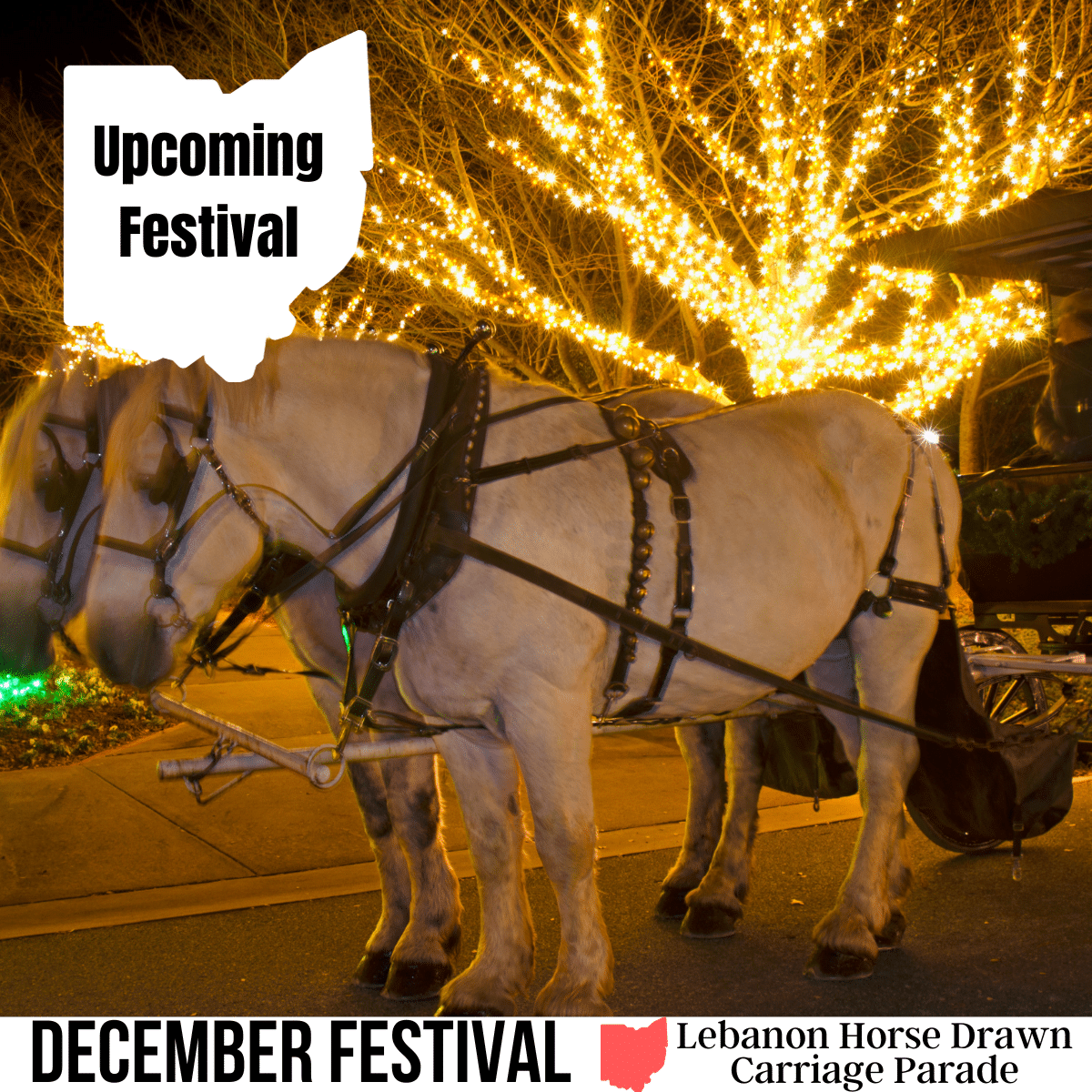 square image with a photo of two white horses pulling a carriage with Christmas lights in the background. A white strip across the bottom has the text December Festival Lebanon Horse Drawn Carriage Parade