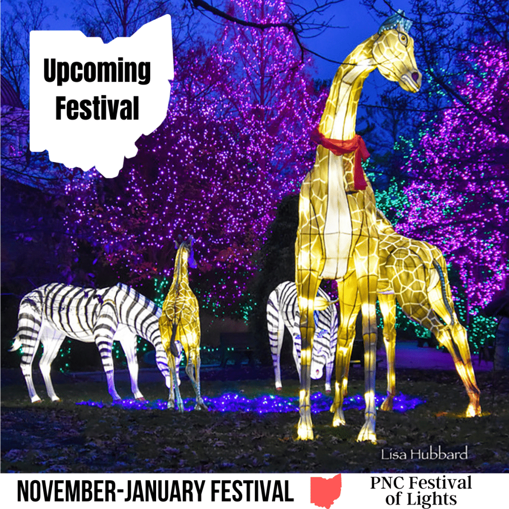 square image with a photo of a light display at Cincinncati Zoo, with giraffes and zebras. A white strip across the bottom has the text November-January Festival PNC Festival of Lights