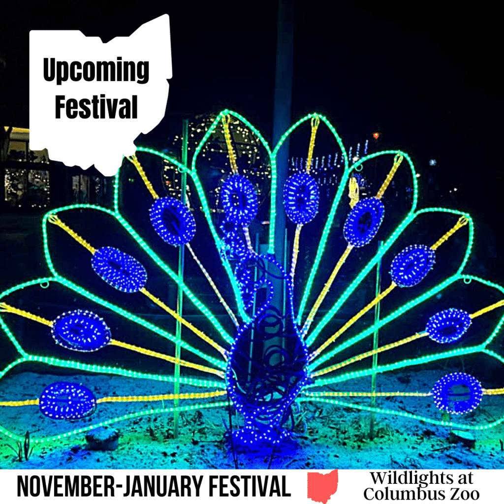 square image with a photo of a light display of a peacock. A white strip at the bottom has the text November-January Festival Wildlights at Columbus Zoo