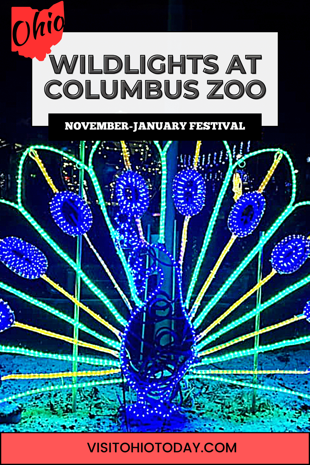 Columbus Zoo springs to life during the evenings from November 17 to January 7. Enjoy all the sights and sounds of winter at the zoo with millions of LED lights!