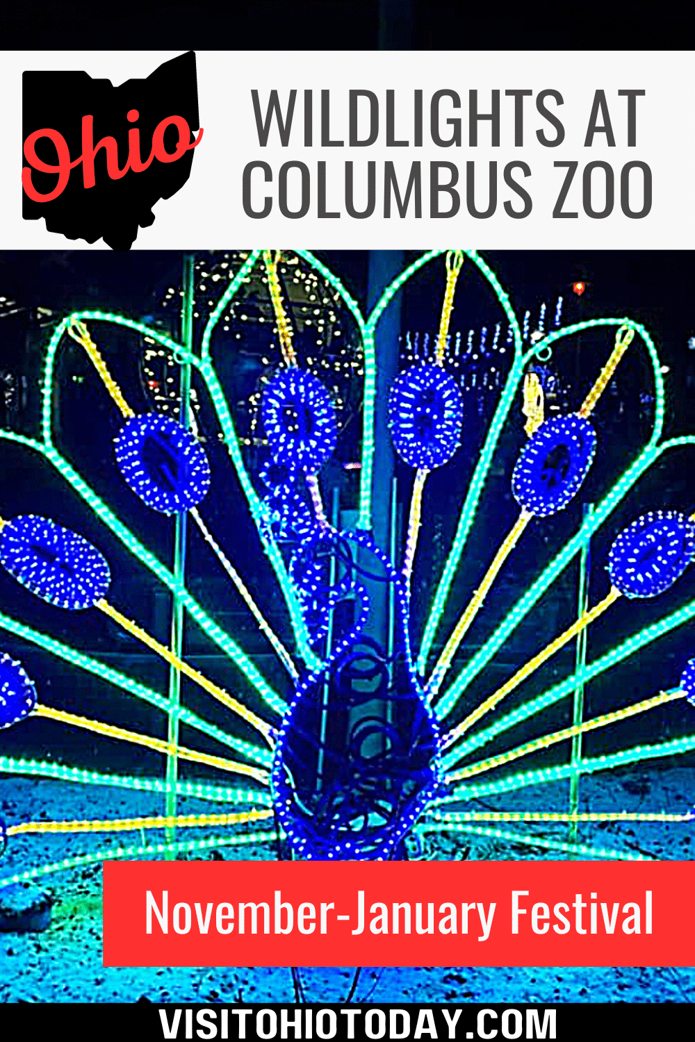 Wildlights at Columbus Zoo is a holiday lights festival that takes place at the Columbus Zoo and Aquarium from November to January