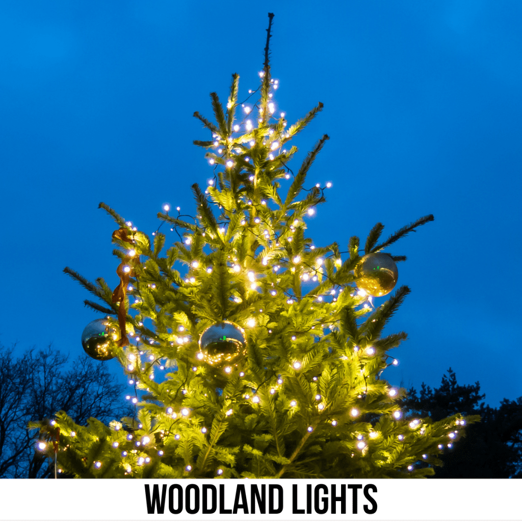 Woodland Lights Visit Ohio Today