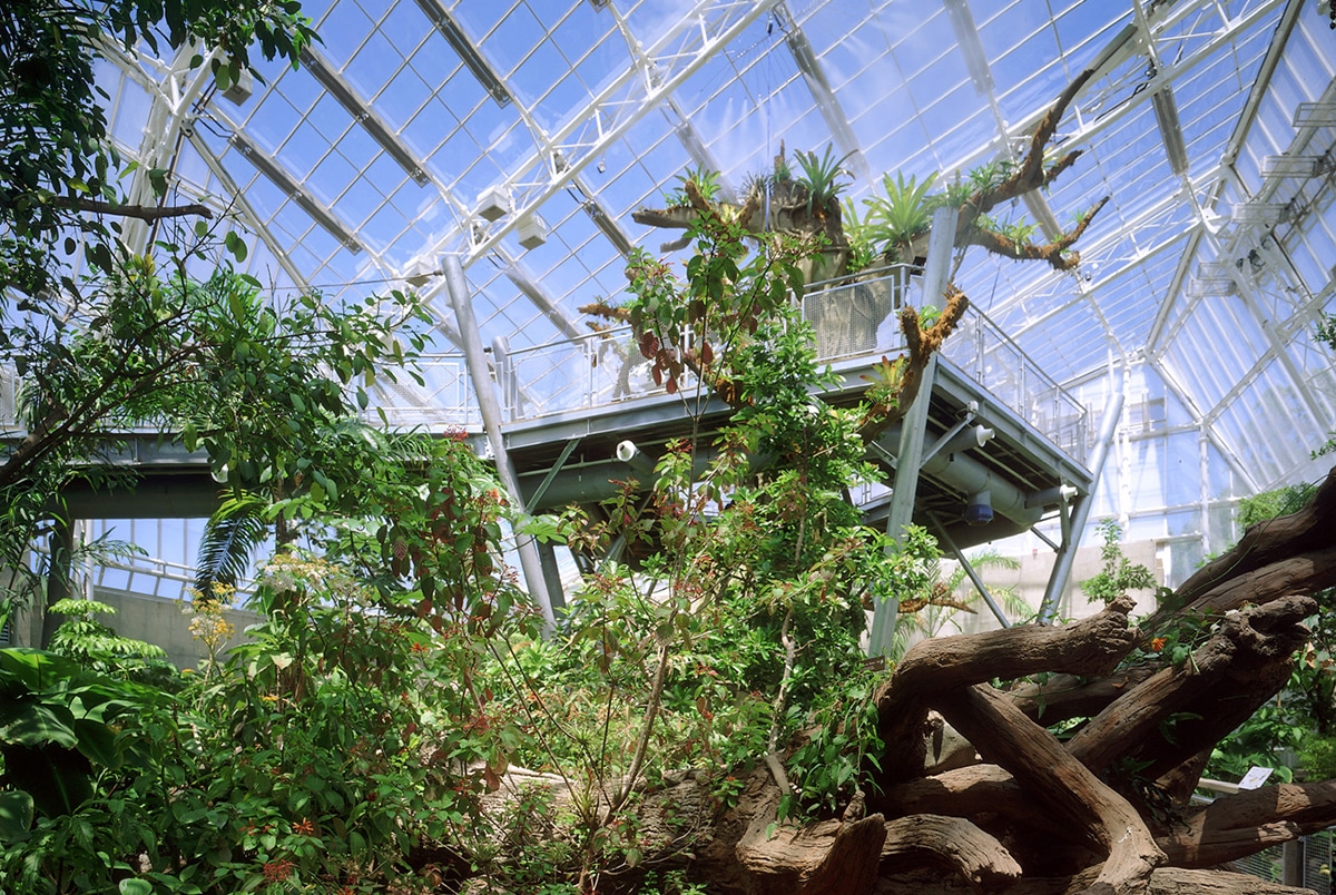horizontal photo of the inside of Cleveland Botanical Garden, showing some tropical plants and a part of the glass domed roof