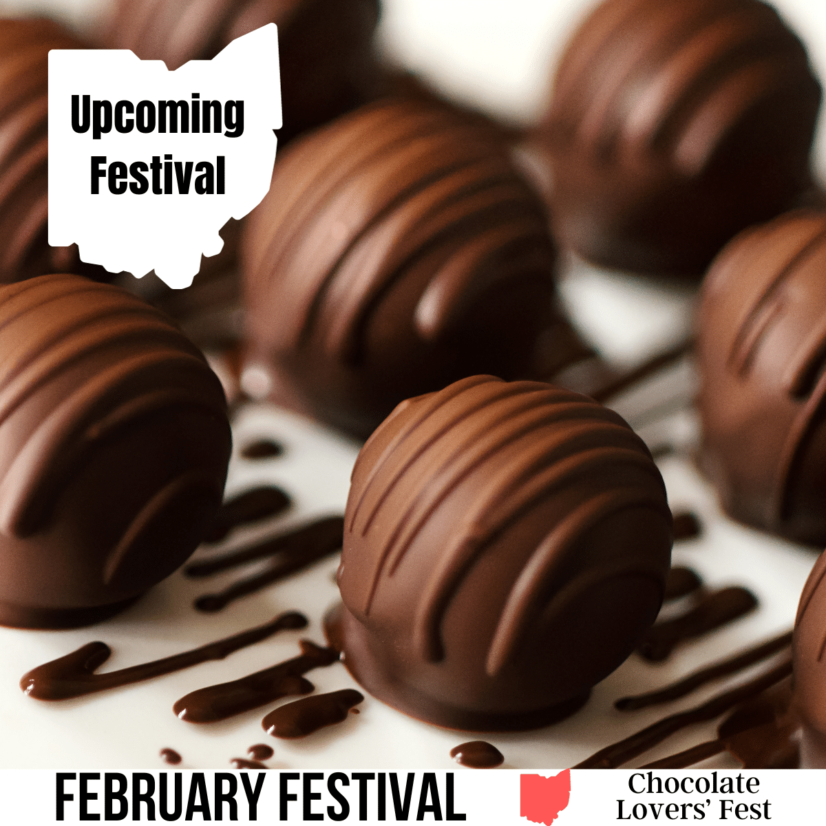 A square image with a photo of truffles candies drizzled in chocolate on a white background. A white shape of Ohio has text Upcoming Festival. A white strip across the bottom has text February Festival Chocolate Lovers' Fest.