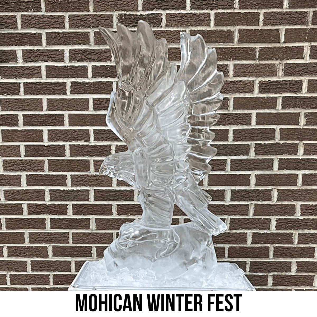 square image with a photo of an eagle ice carving in front of a brick wall. A white strip across the bottom has the text Mohican Winter Fest