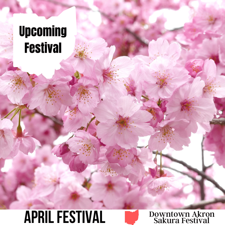 Downtown Akron Sakura Festival Event