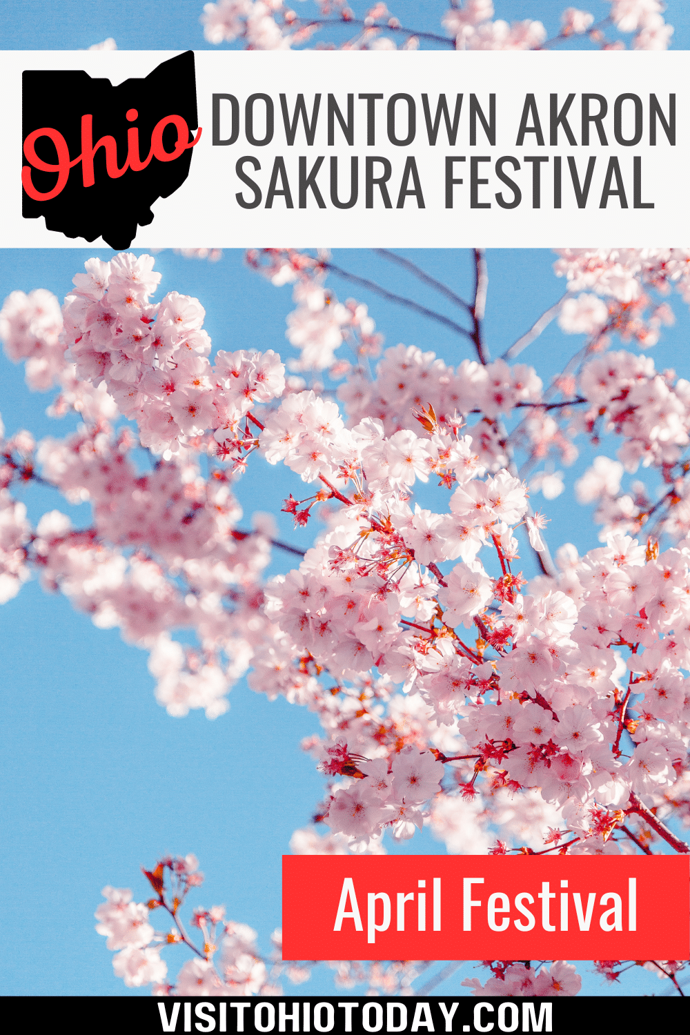 The Downtown Akron Sakura Festival is in early April to celebrate spring and cherry blossom trees.