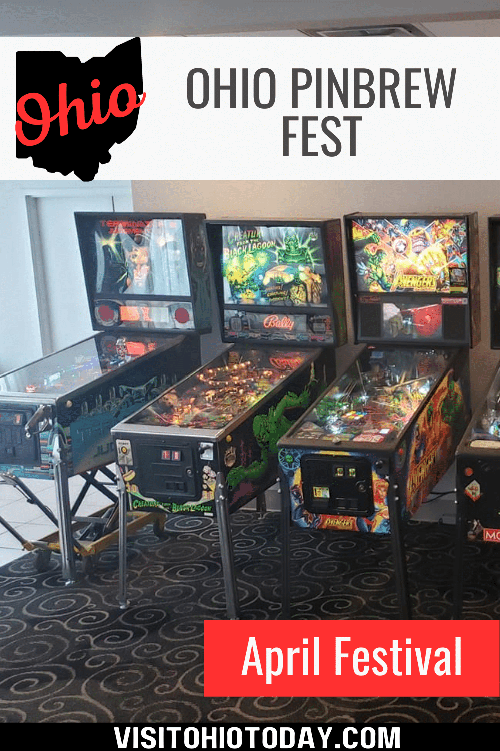 The Ohio PinBrew Fest is held in early April. This event features pinball machines and arcades with free play, tournaments, and more.