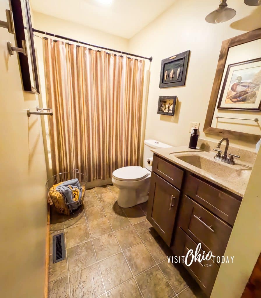 cabin bathroom with a vanity, toilet and shower curtai