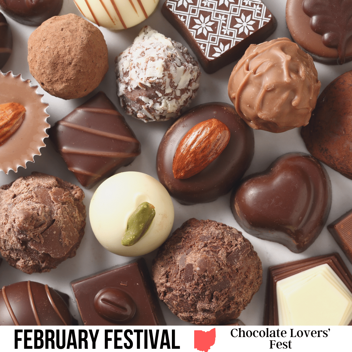 square image with a photo of homemade chocolates. A white strip across the bottom has the text February Festival. Chocolate Lovers' Fest