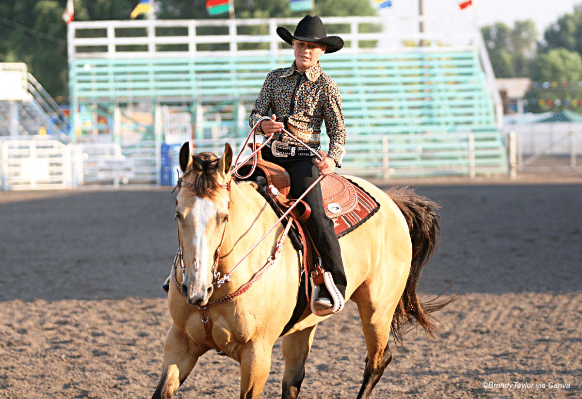 horizontal image of a young boy on a rodeo horse at a county fair