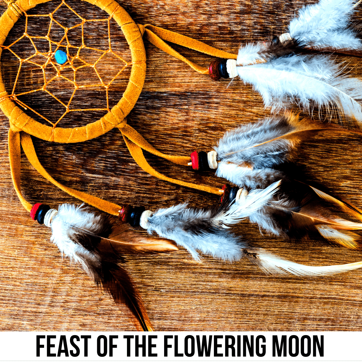 A square image of a photo of a dreamcatcher with white feathers. A white strip across the bottom has text Feast of the Flowering Moon.
