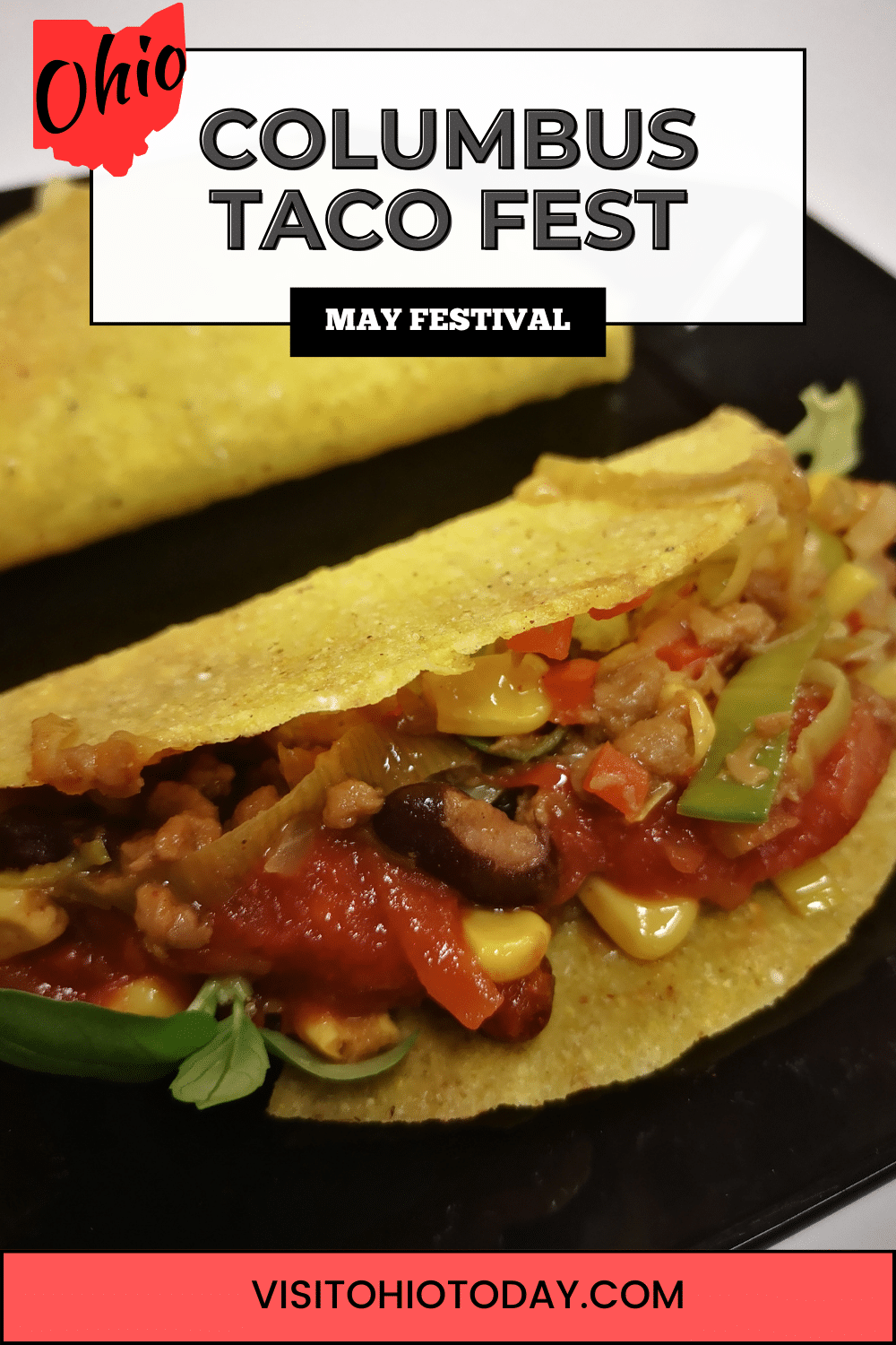 Columbus Taco Fest is an annual festival celebrating the taco that takes place in Genoa Park in Columbus in mid-May.