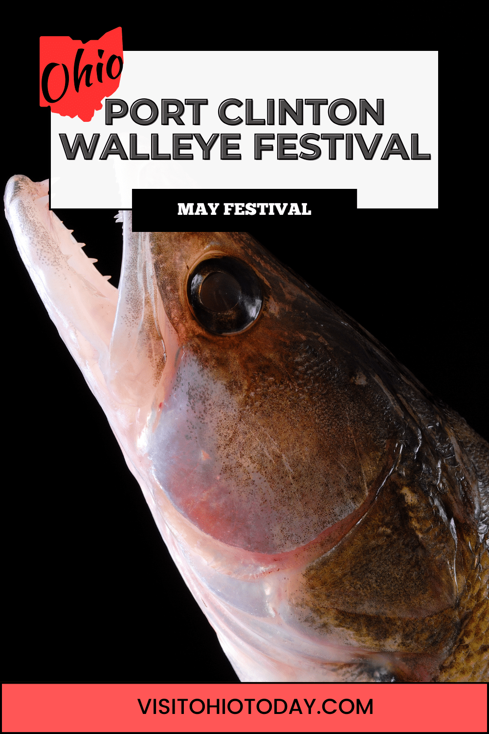 Port Clinton Walleye Festival will return on Memorial Day weekend at Waterworks Park in Port Clinton.