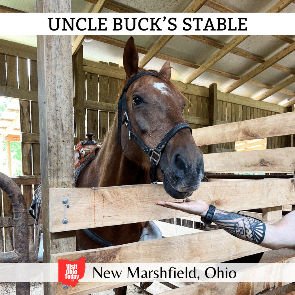 Uncle Buck’s Stable Visit Ohio Today
