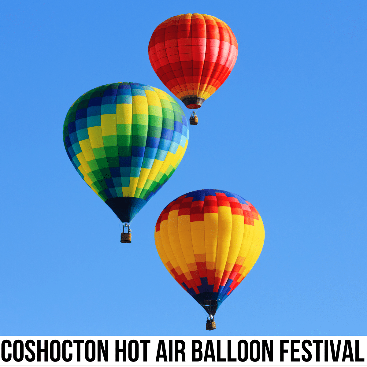 A square image of a photo of three hot air balloons against a blue sky background. A white strip across the bottom has text Coshocton Hot Air Balloon Festival.  