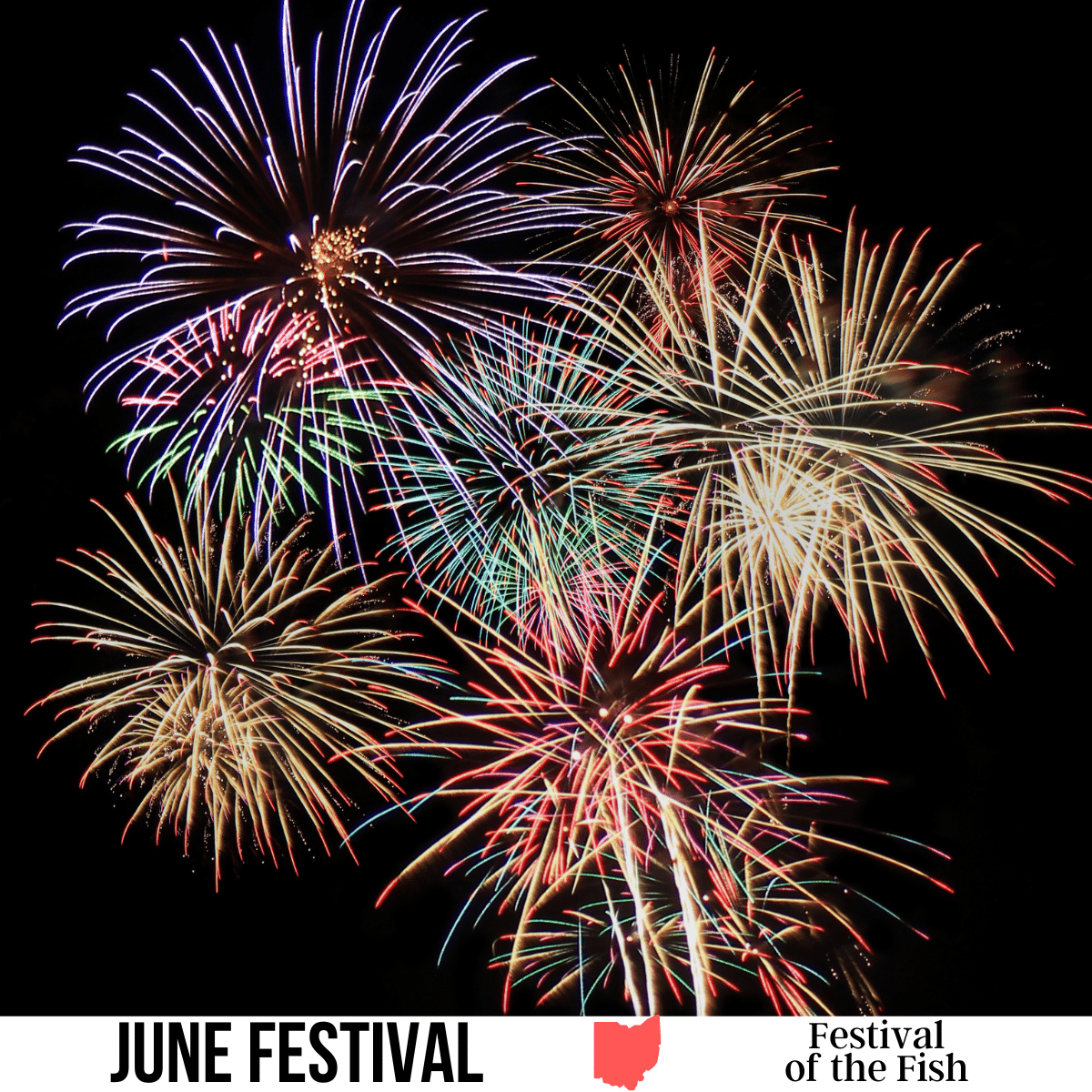A square image of a photo of fireworks against a black background. A white strip across the bottom has text June Festival -Festival of the Fish.