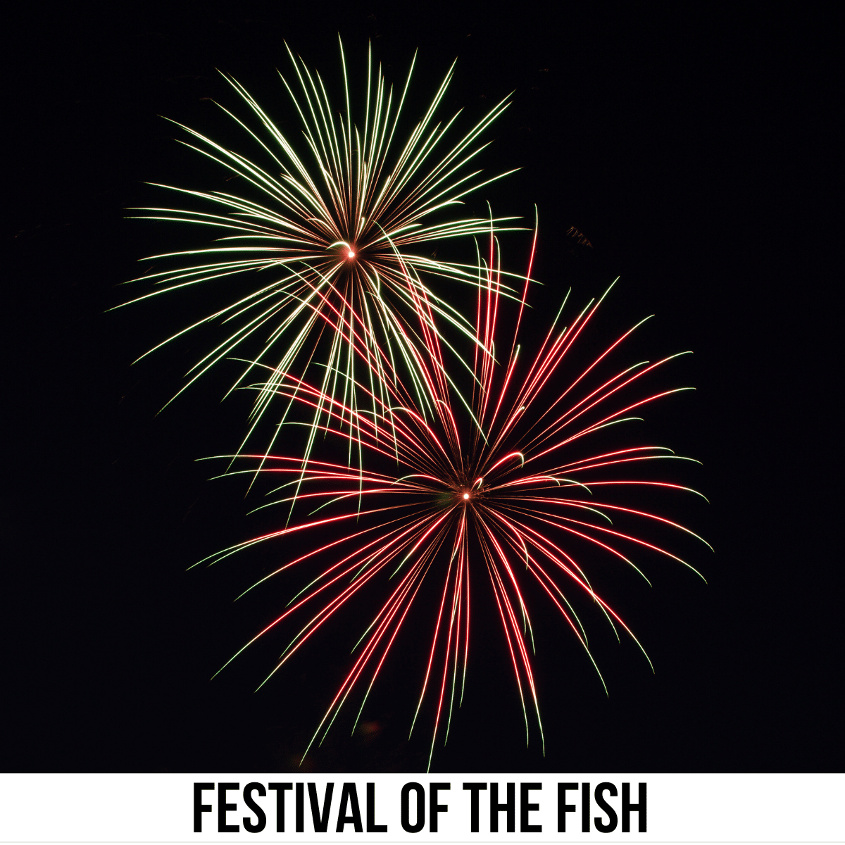 A square image of a photo of fireworks against a black sky background. A white strip across the bottom has text Festival of the Fish.