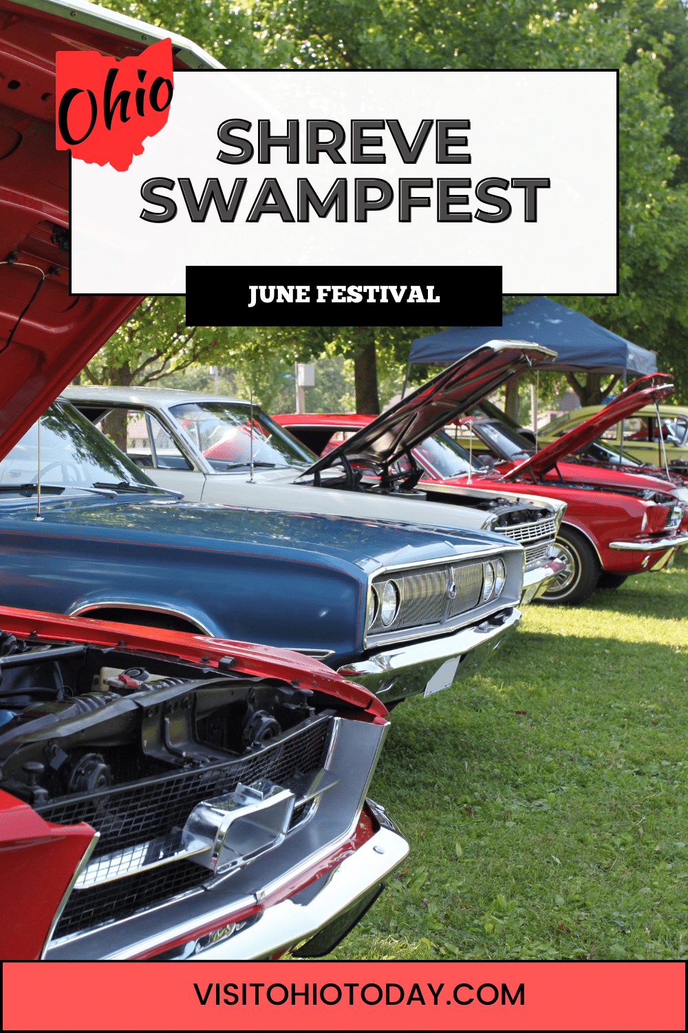 Shreve Swampfest is a community festival that takes place in downtown Shreve in mid-June.