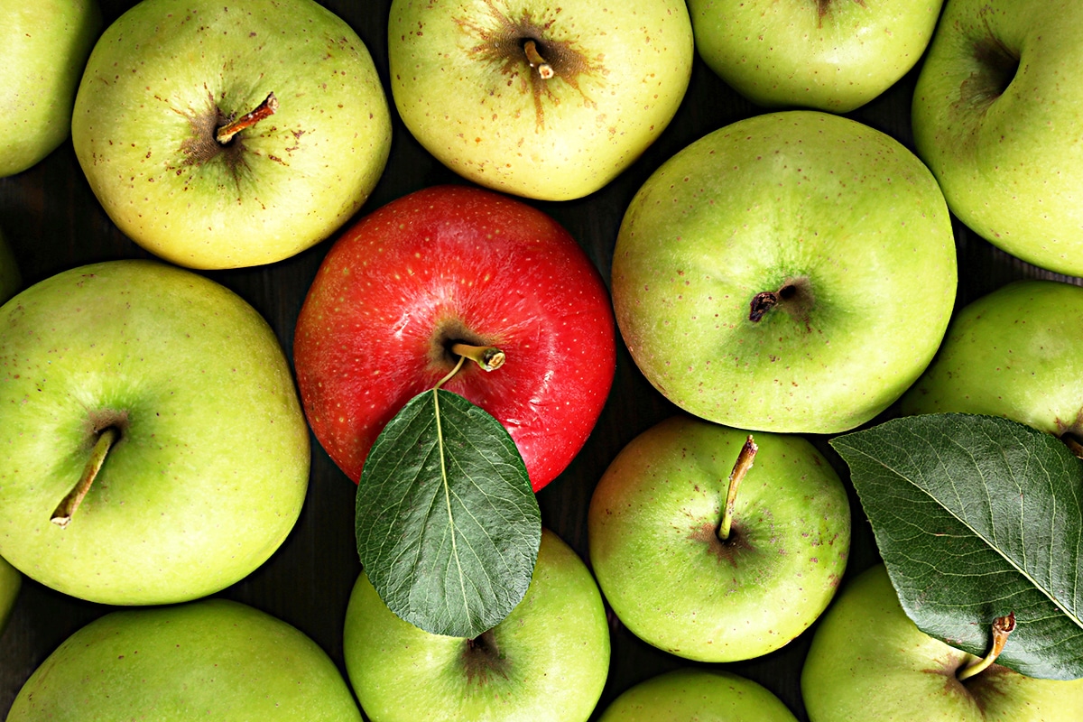 horizontal photo of green apples arranged in lines with a single red apple among them and a couple of apple tree leaves