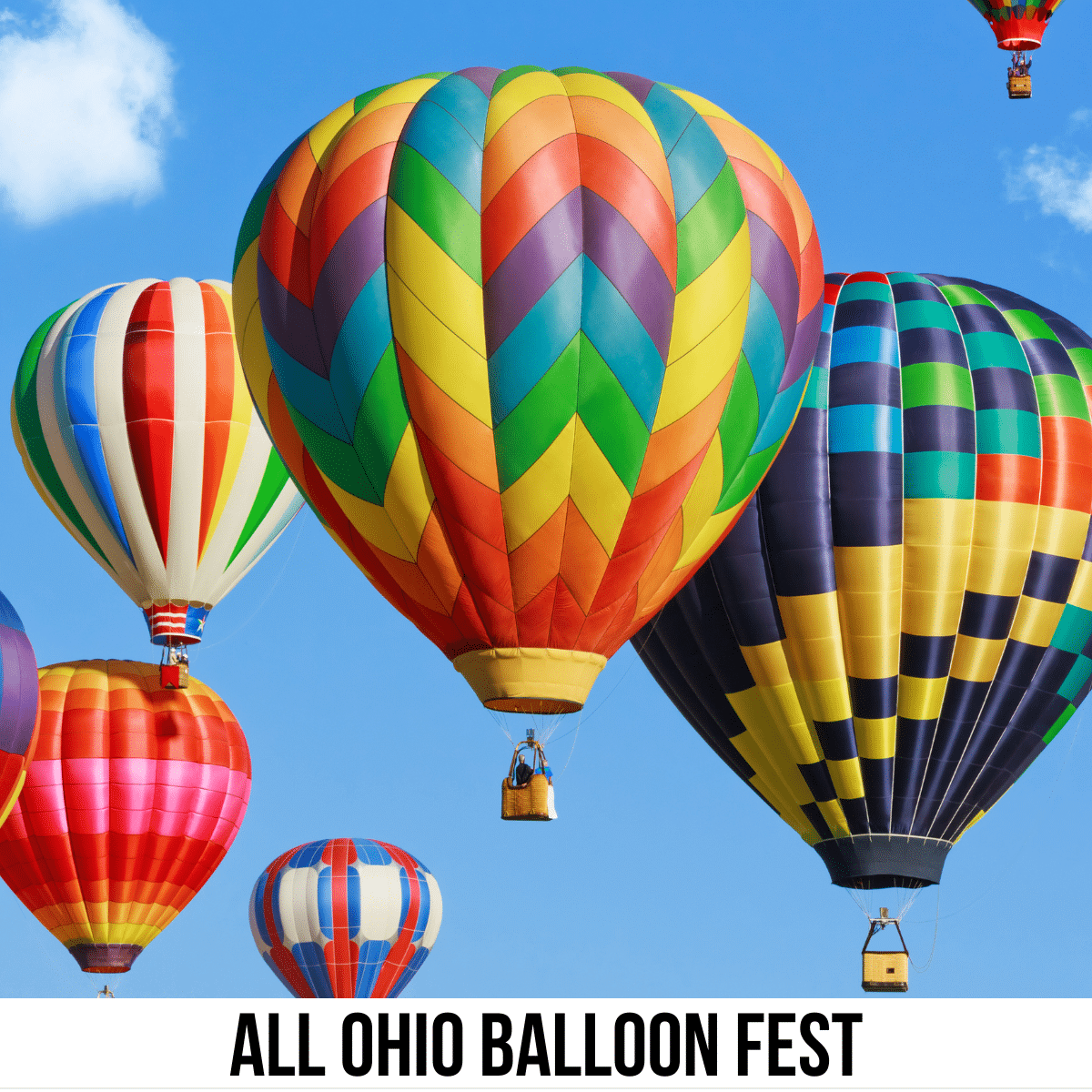 A square image of a photo of several hot air balloons against a blue sky and white cloud background. A white strip across the bottom has text All Ohio Balloon Fest. 