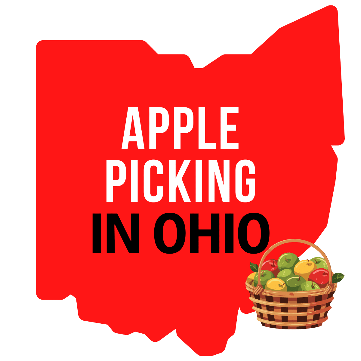 square image with a large red map of Ohio containing the text Apple Picking in Ohio with a small clipart of a basket of apples in the bottom right corner