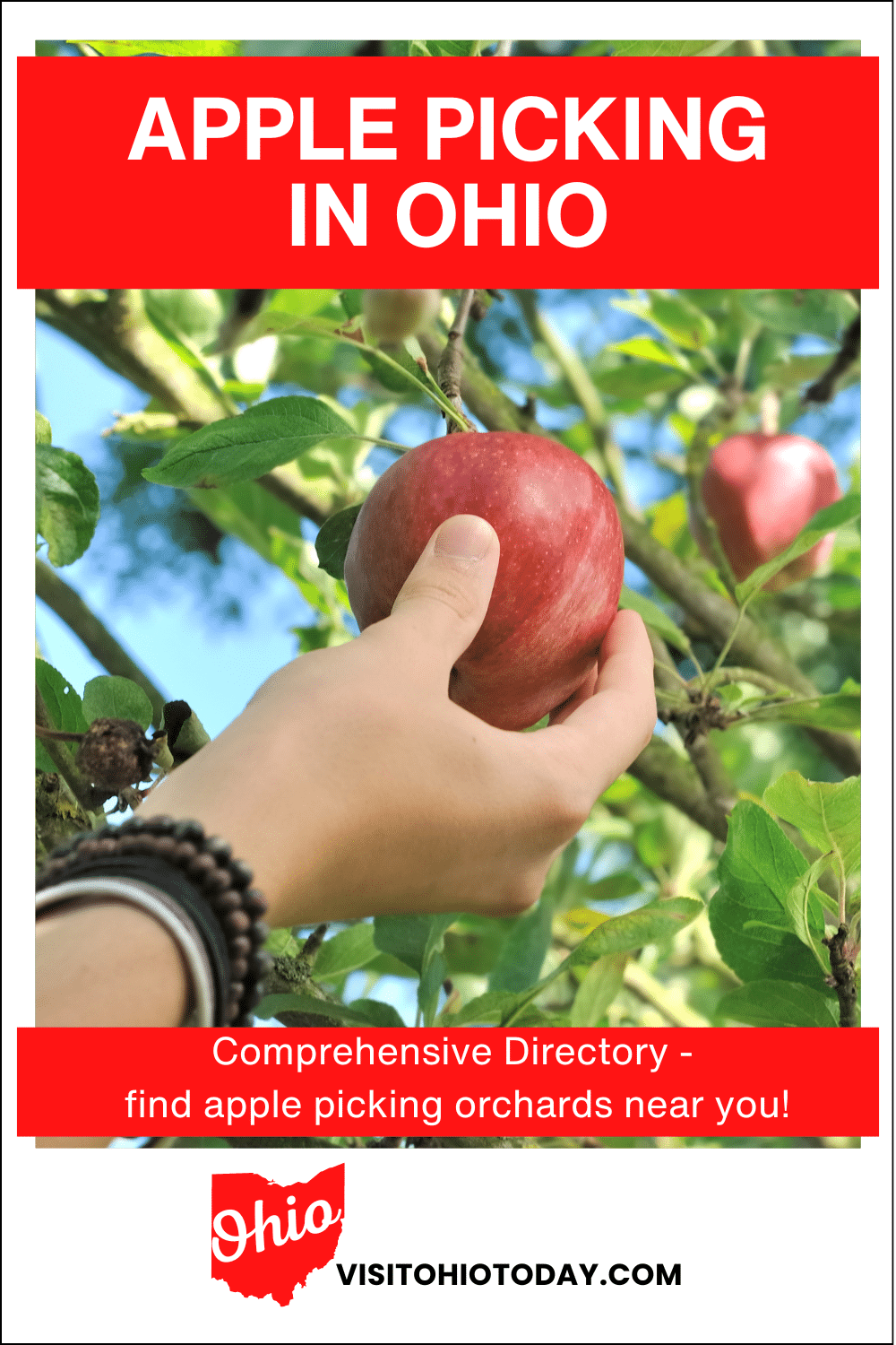 There are many orchards where you can go apple picking in Ohio. Most orchards offer other you-pick fruits, such as berries in the summer and pumpkins in the fall, as well as family-fun activities.
