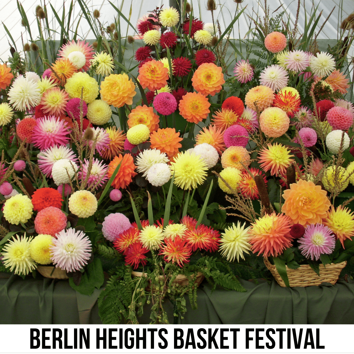 A square image of a photo of flowers in an array of colors, arranged in baskets. A white strip across the bottom has text Berlin Heights Basket Festival.