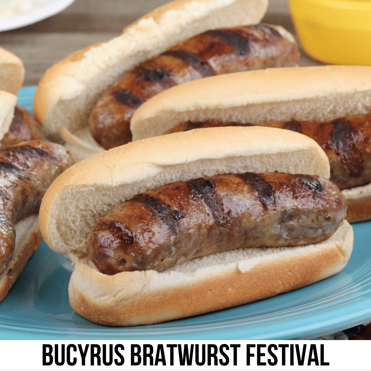 A square image of a photo of several grilled brats on buns, sitting on a blue platter. A white strip across the bottom has text Bucyrus Bratwurst Festival. 