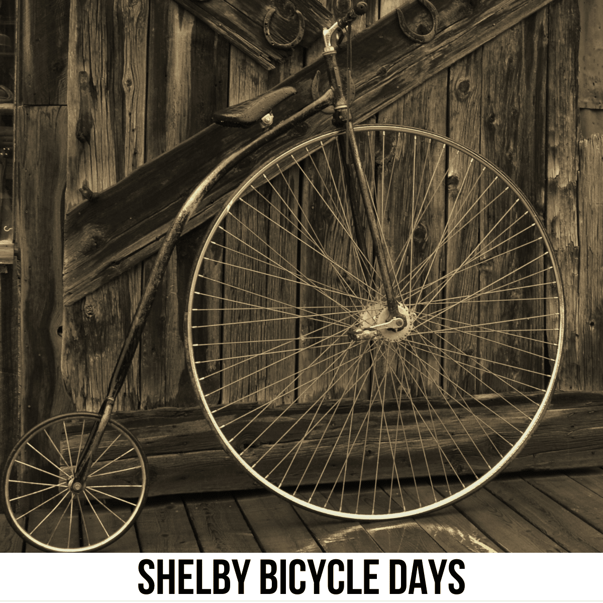 A square image of a sepia-toned photo of an old-fashioned bike, with one large wheel and one small wheel. The bike is leaning against a wooden structure. A white strip across the bottom has text Shelby Bicycle Days. 