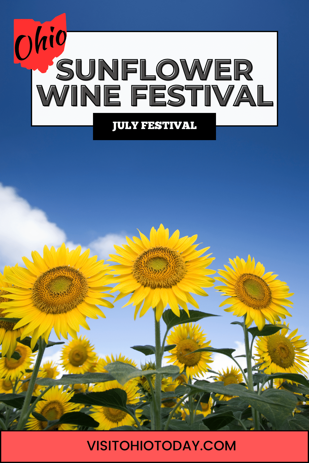 Sunflower Wine Festival is an annual event for the fight to end childhood cancer that takes place in mid-July in Rocky River.