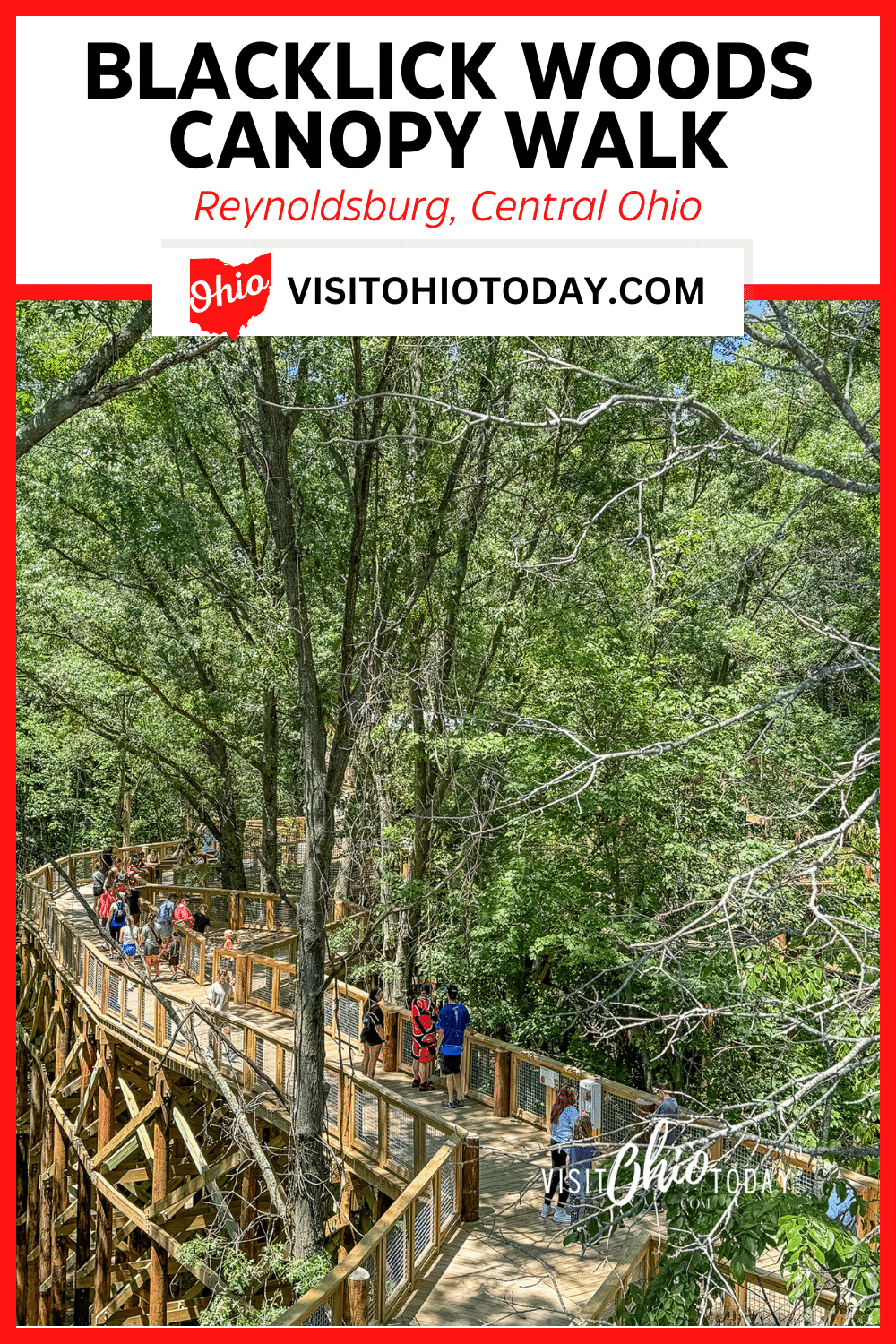 Blacklick Woods Canopy Walk is a unique experience in a Metro Park. Rising 40 feet into the air, the boardwalk is a one-eighth-mile loop around the treetops.